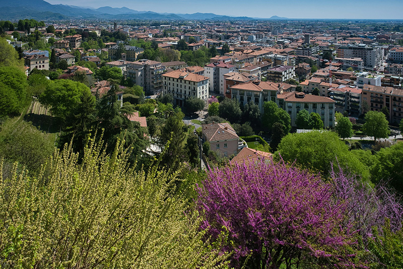 Vista della Città di Bergamo con Alberi Fioriti in Primo Piano